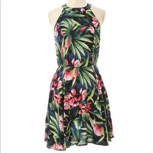 Hollister Palm Halter Dress